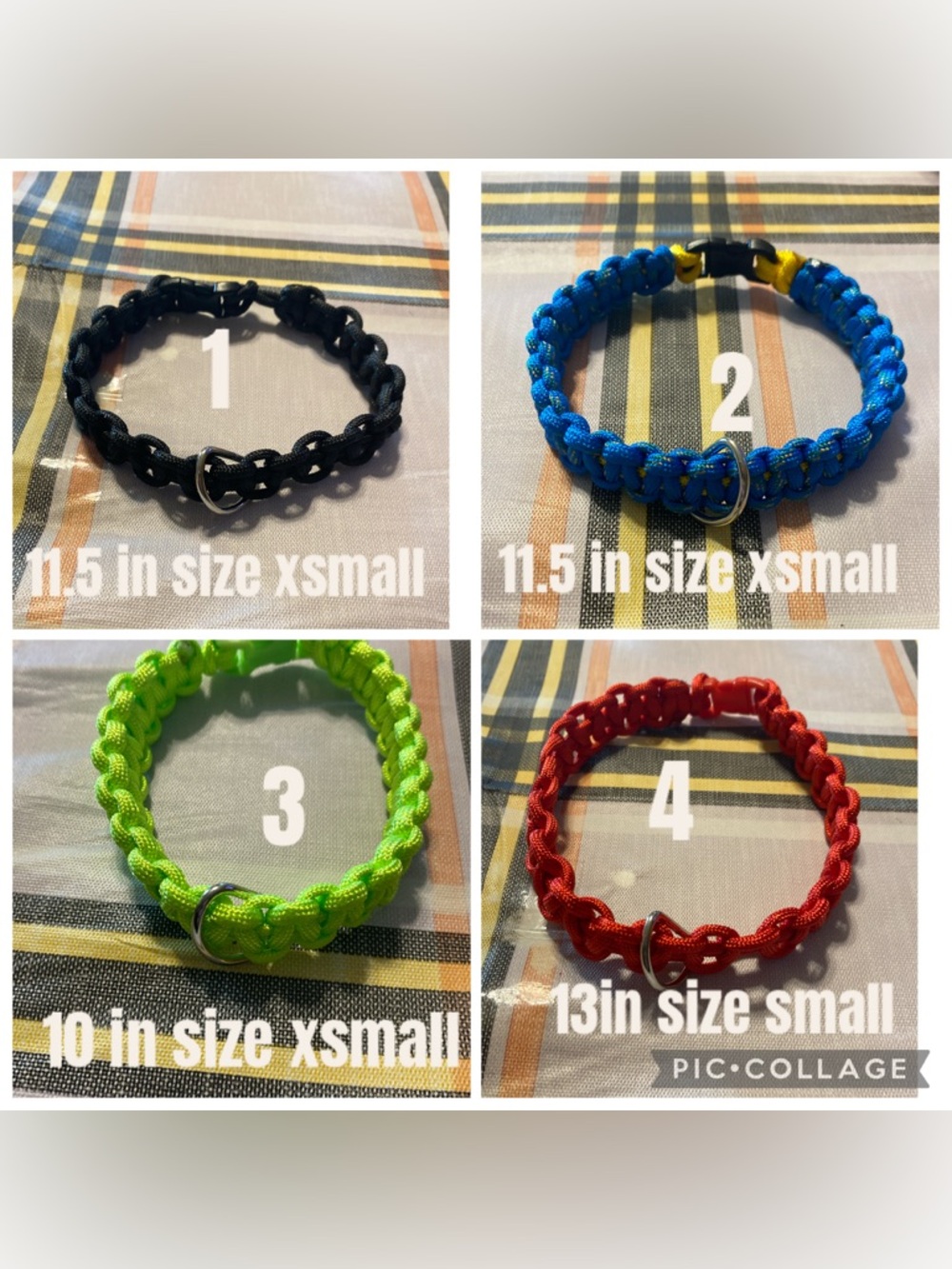 Dog collar pick one